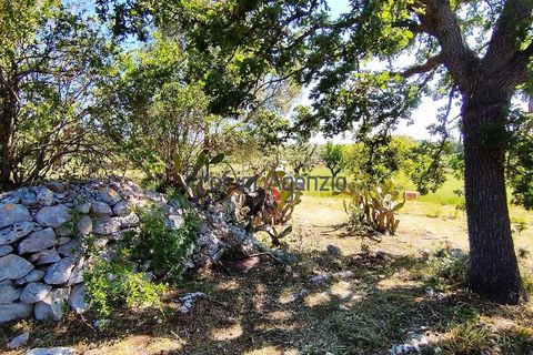 Landejendom i Carovigno, Brindisi, Carovigno - € 98.000 | Ref: 122569 - foto 19